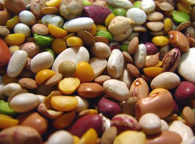 Neyv test fyri ovurviðkvæmi